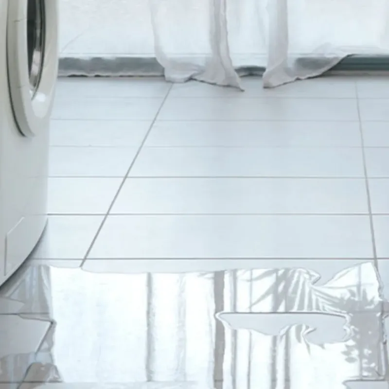 Appliance Leak Cleanup in Kearny, AZ