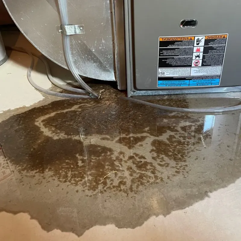 Pipe Burst and Leak Restoration in Kearny, AZ